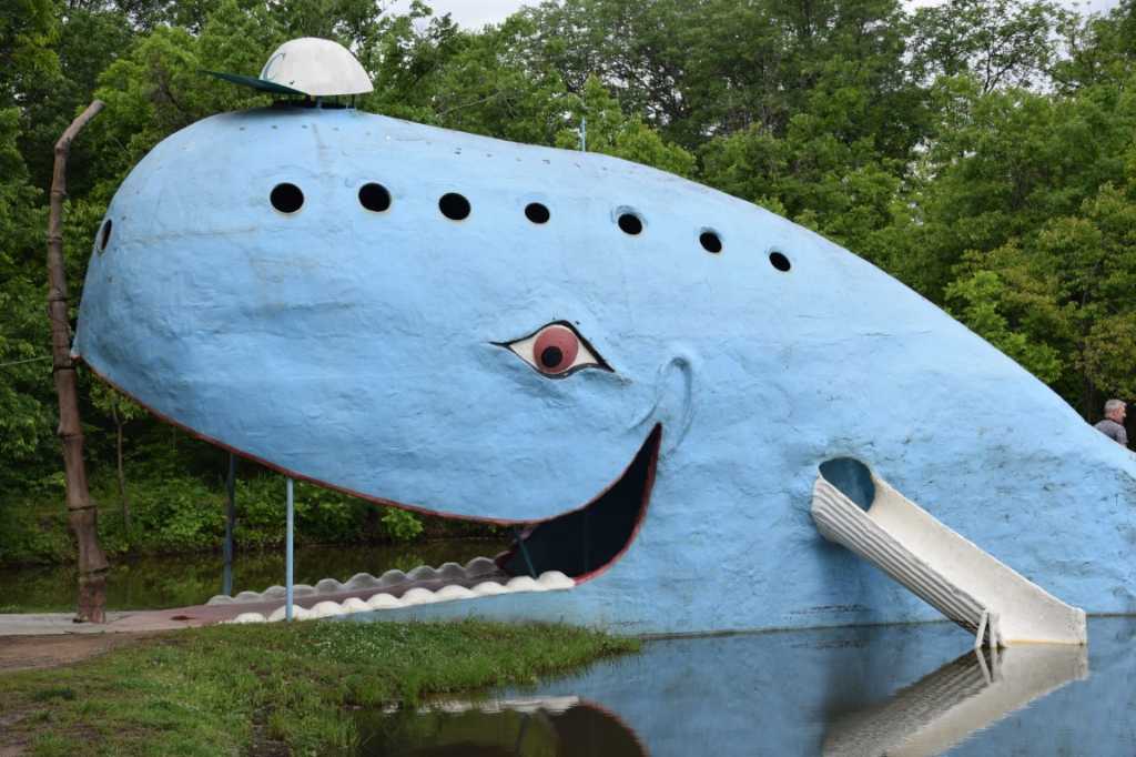 DSC_0425Mittel_.JPG
